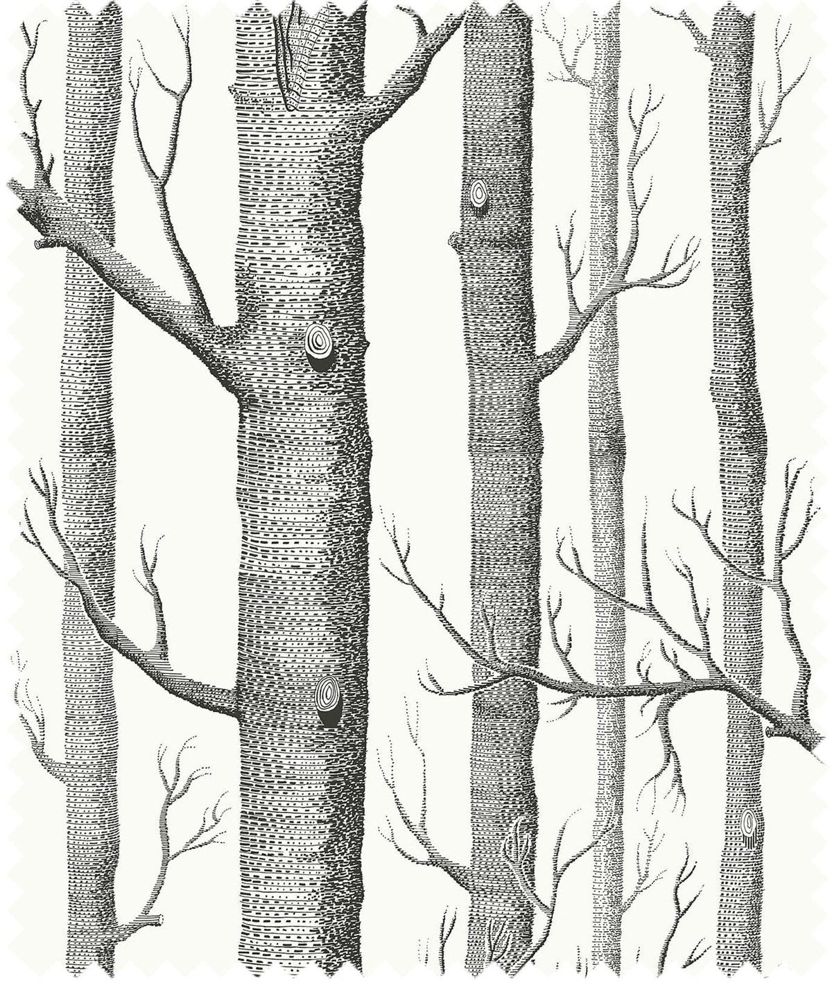 Cole & Son – Stoff Woods Linen Union – F111/7026LU – Black on White