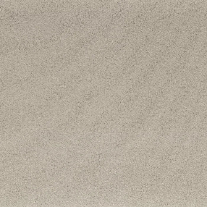 Camengo Boccoli – Brouillard – 32720866