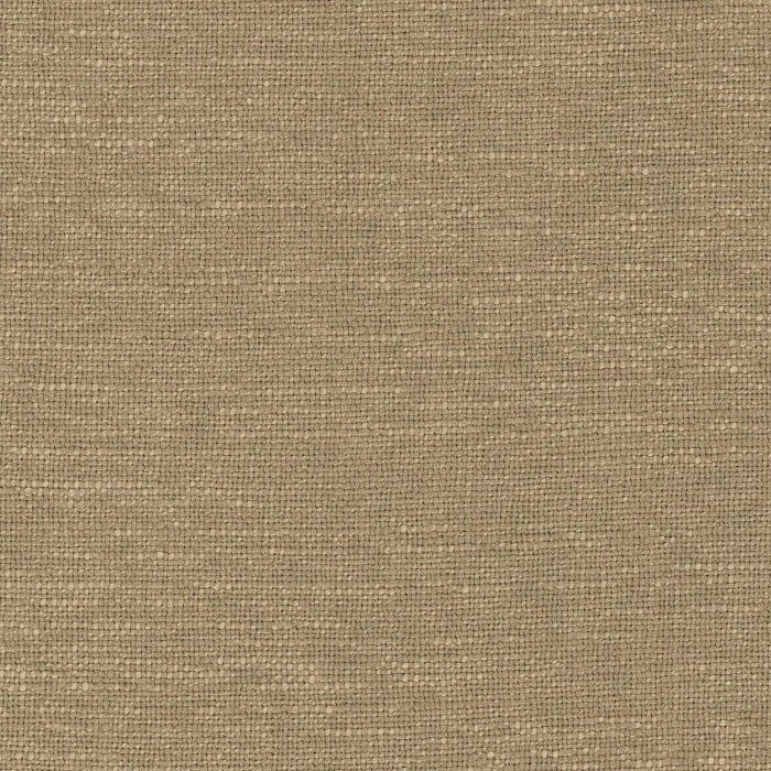 Camengo Libre – Lichen – 32841877