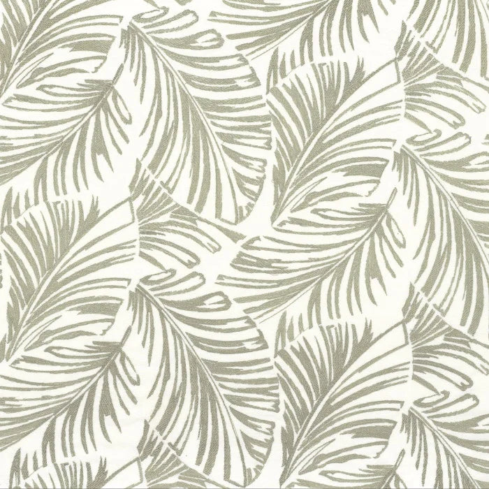 Camengo Vivace – Lichen – 33990322