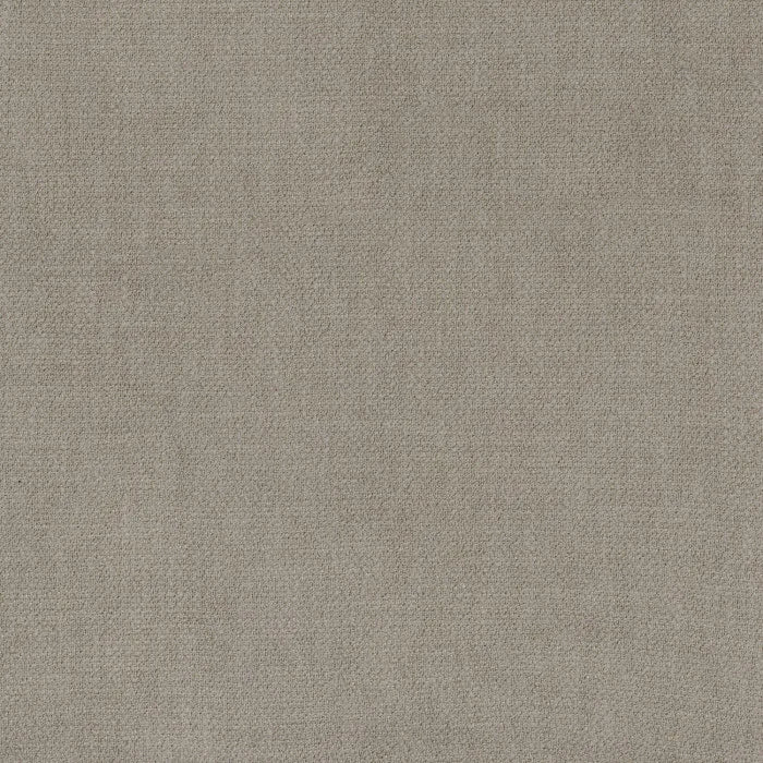 Camengo Kauri – Elephant – 36180905