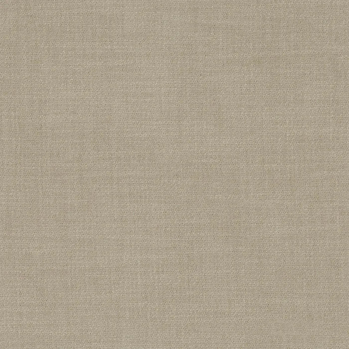 Camengo Kauri – Lichen – 36181597