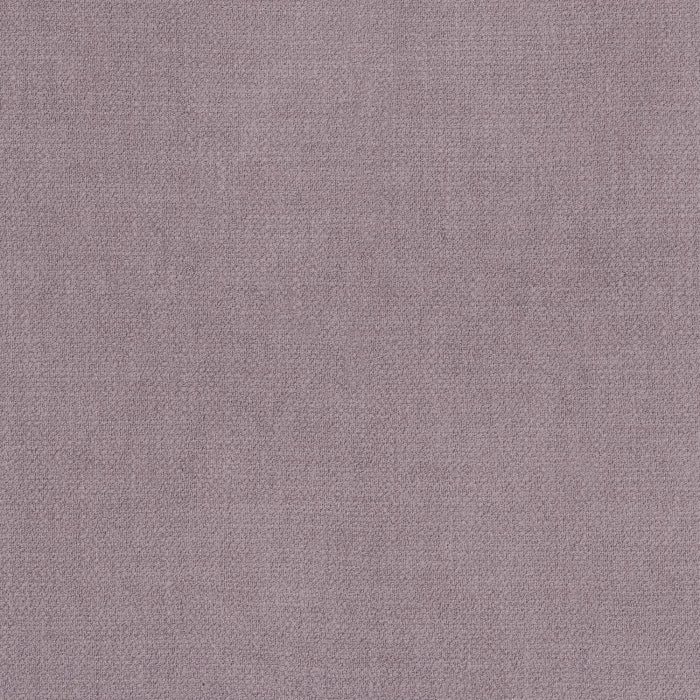 Camengo Kauri – Vigne – 36182630
