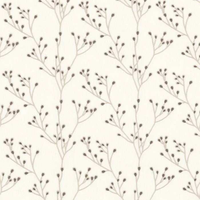 Camengo Papille – Carbone – 38110327