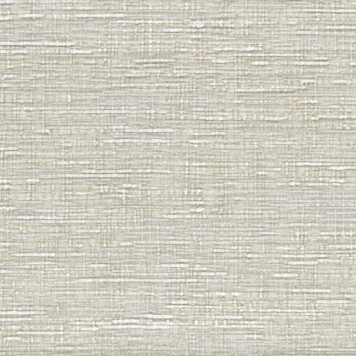 Casamance Sharpei – Ivoire – 11650416
