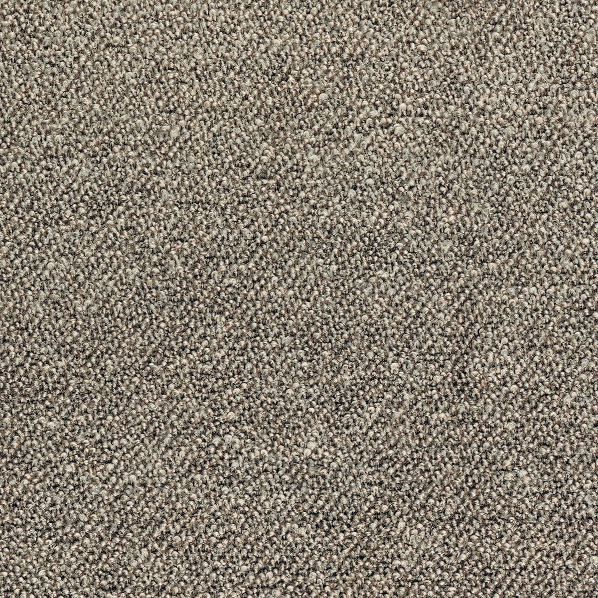 Casamance Abruzzes – Taupe – 12000861