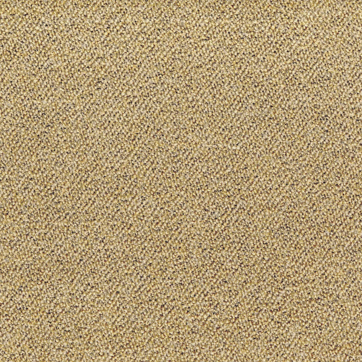 Casamance Abruzzes – Jaune Paille – 12001740