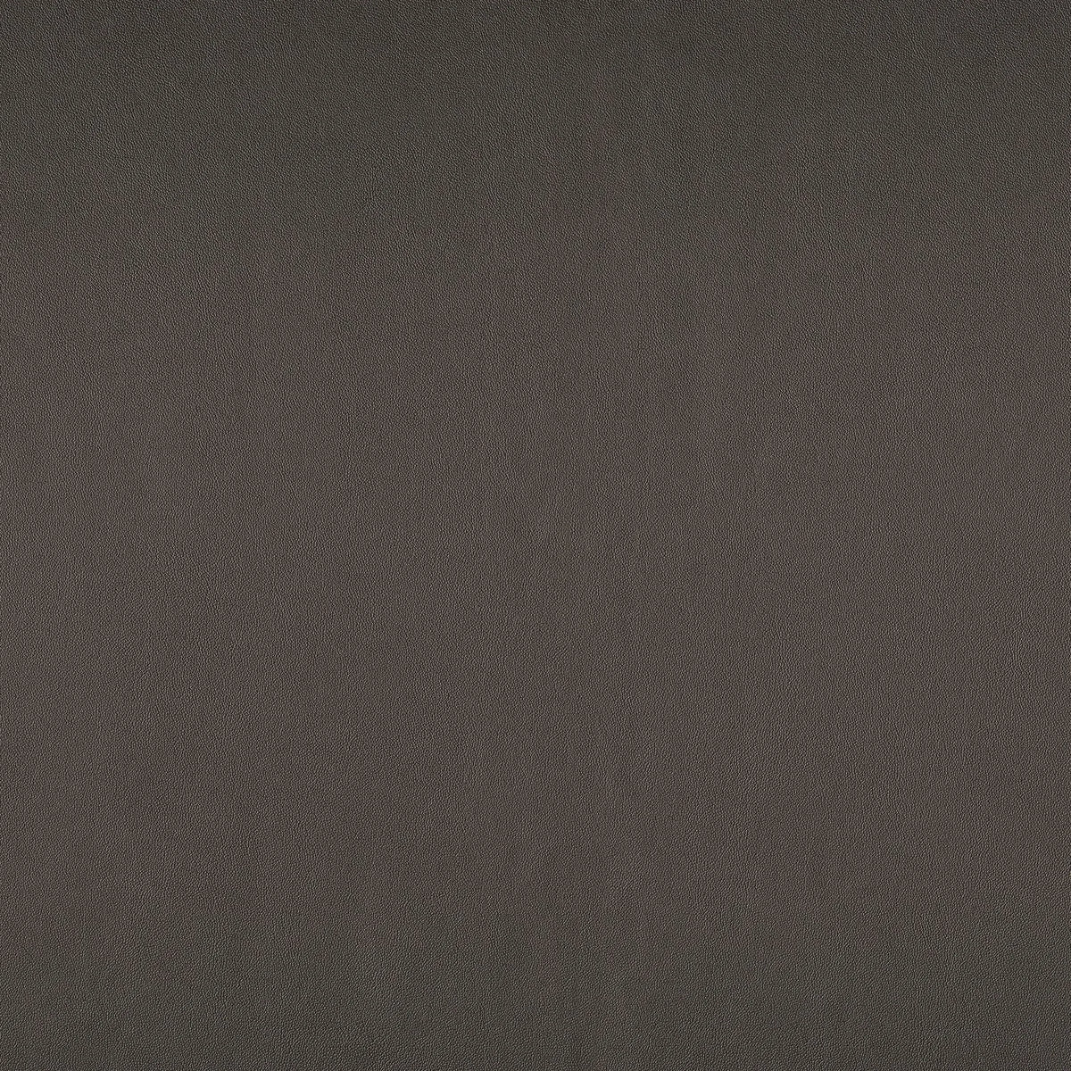 Casamance Naja – Brun Tabac – 43260420