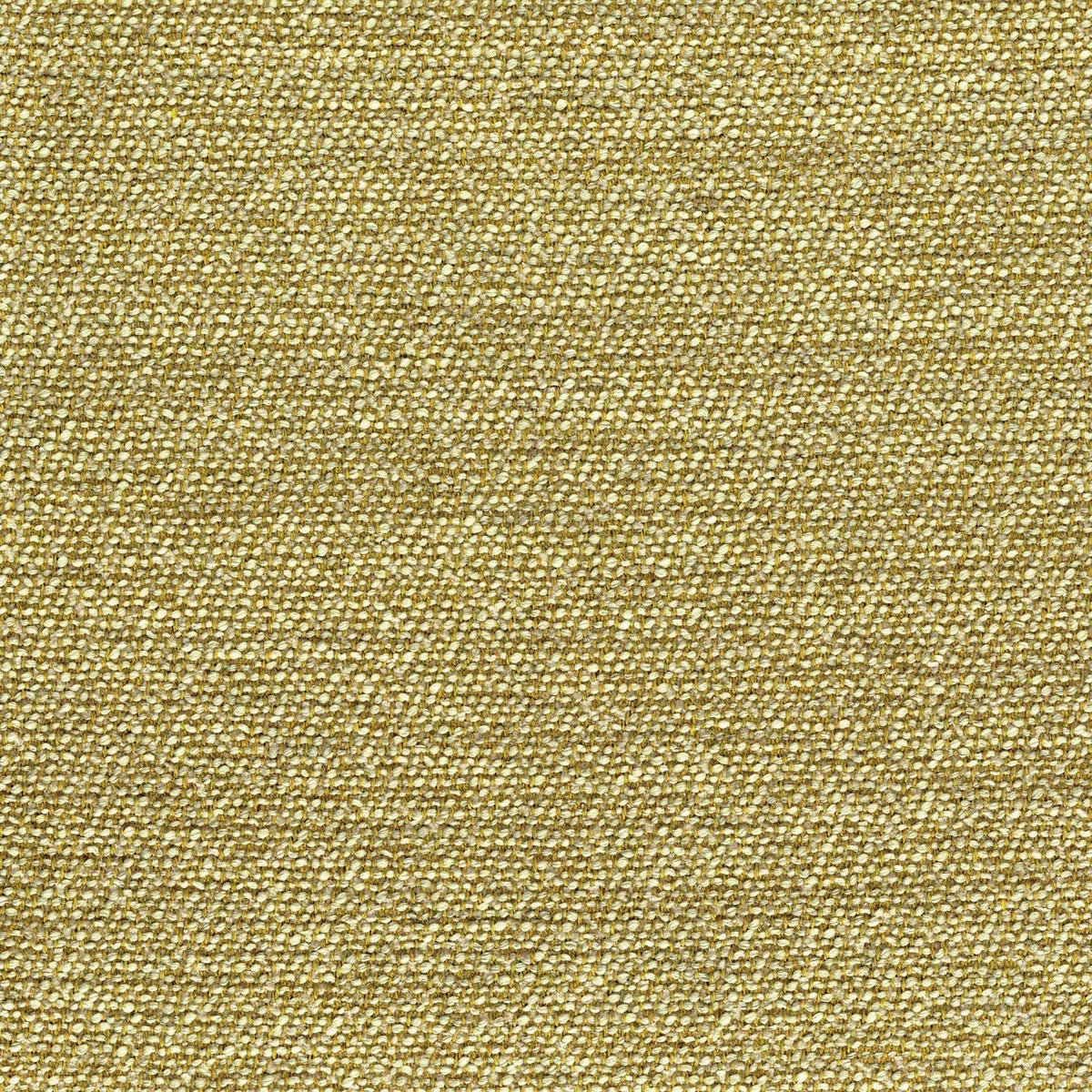 Casamance Harmonie – Olive – 45161019