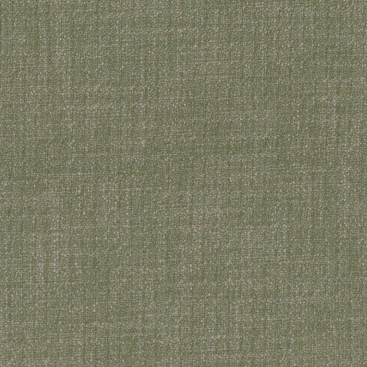 Casamance Dune – Olive – 48622439