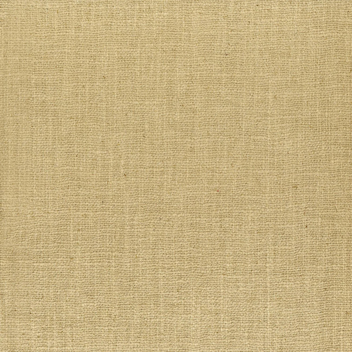 Casamance Laglio – Champagne – 48882381