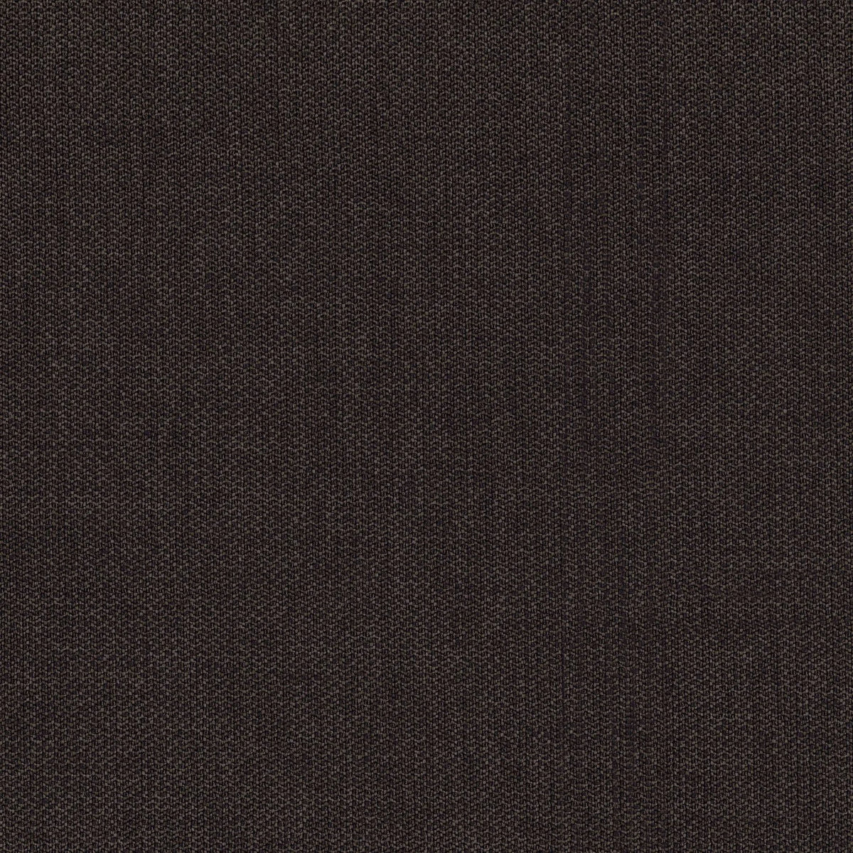 Casamance Knossos – Carbone – 50000435