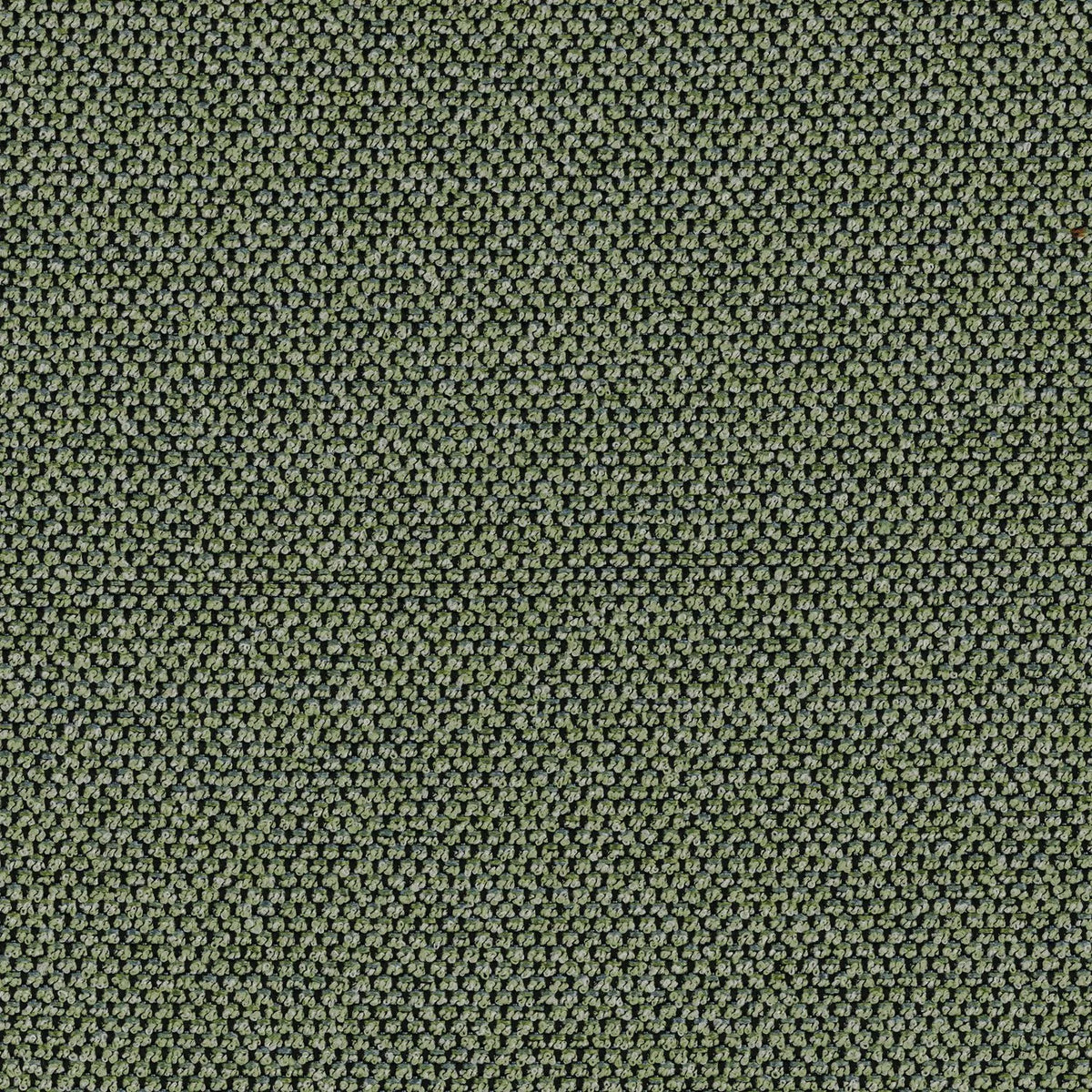 Casamance Pavlos – Vert Mousse – 50160371
