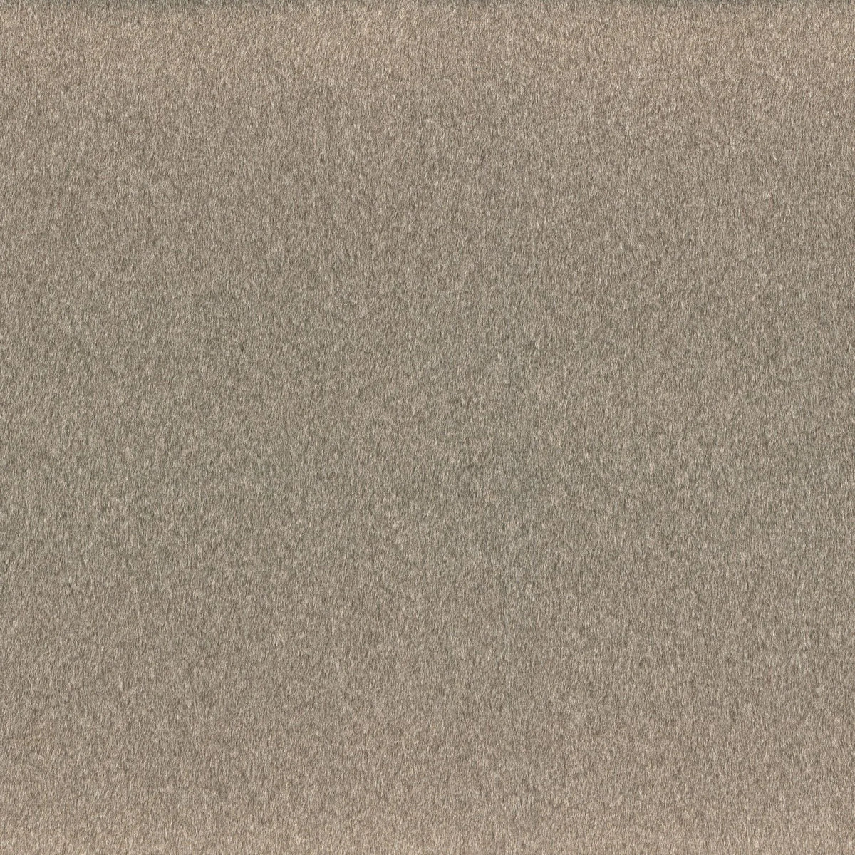Casamance Clyde – Taupe – 83630220