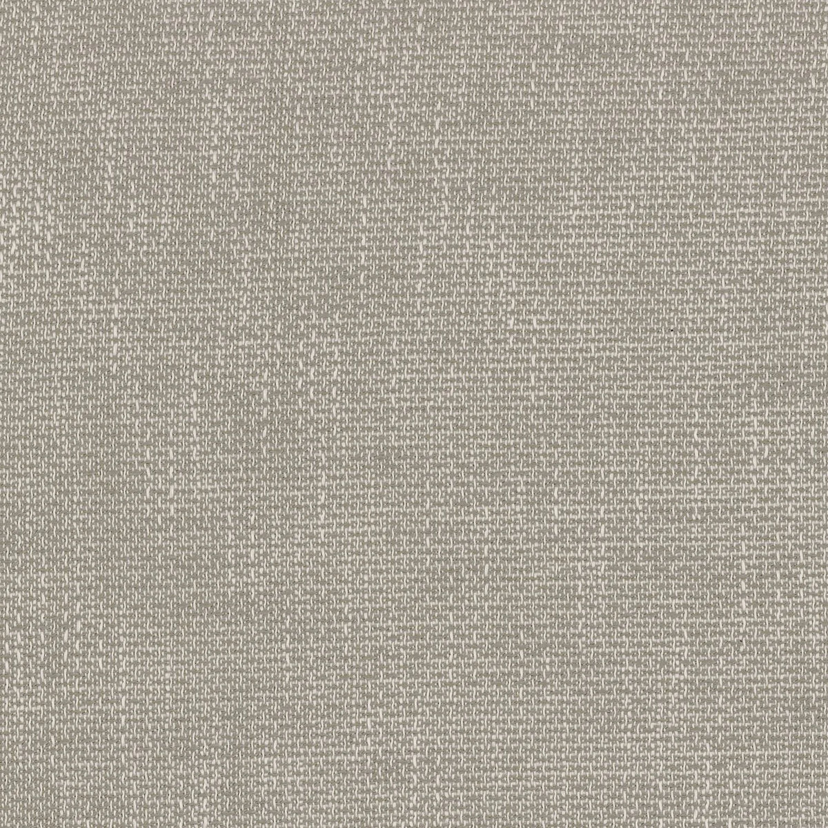 Casamance Conti – Grege – A41020535