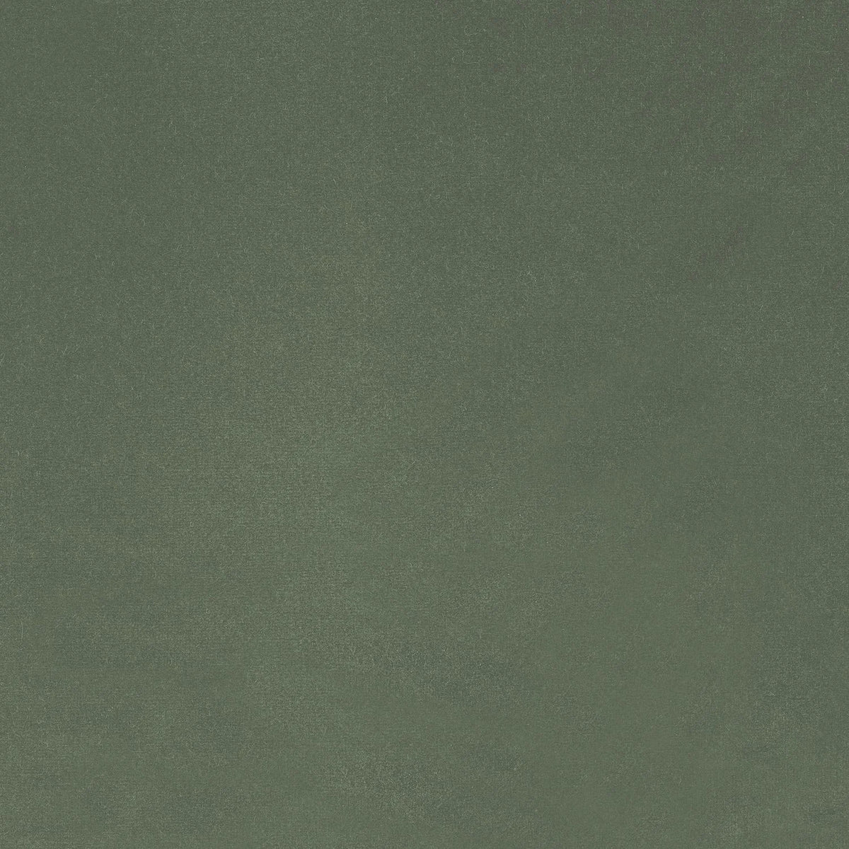 Casamance Dolce Vita – Vert Sauge – C45785858