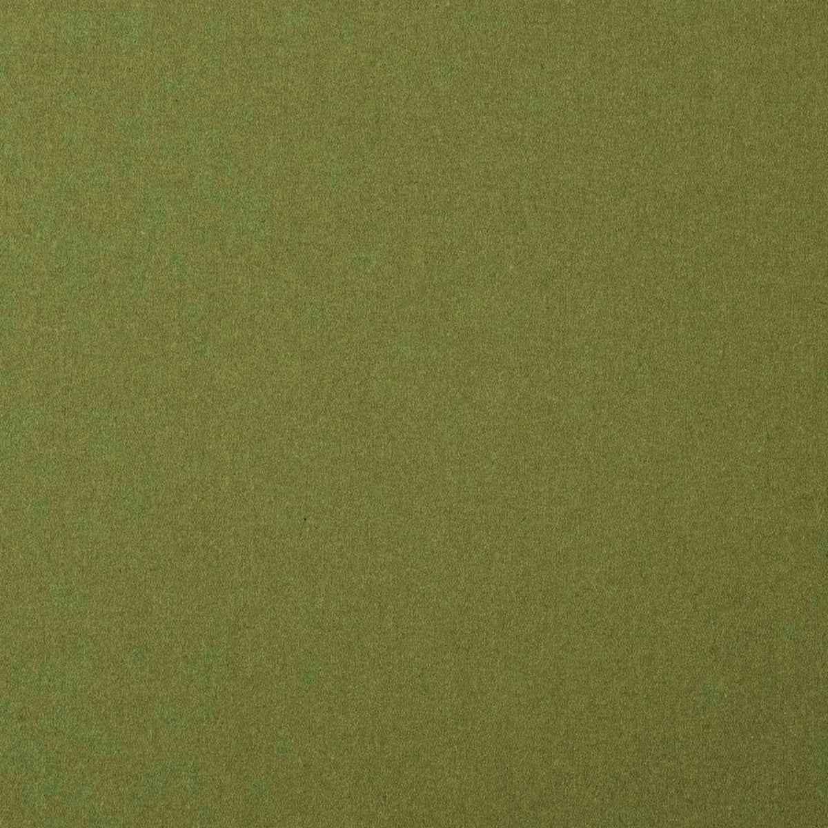 Casamance Arthur's Seat – Garden Peas – E7689027