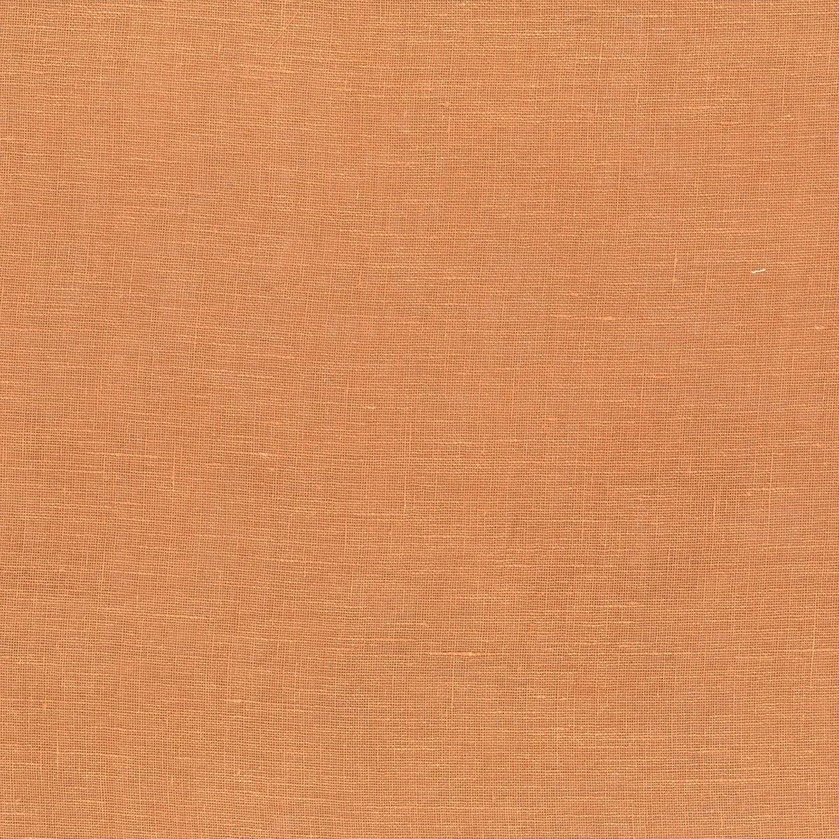 Casamance Illusion 300 – Alezan – G25957460