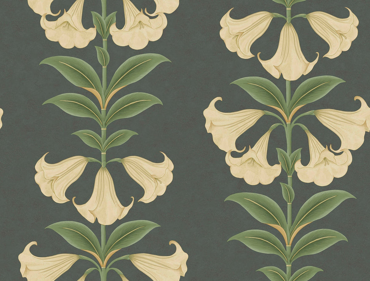 Cole & Son Angel’s Trumpet Tapete – Cream & Olive Green on Charcoal (117/3006)