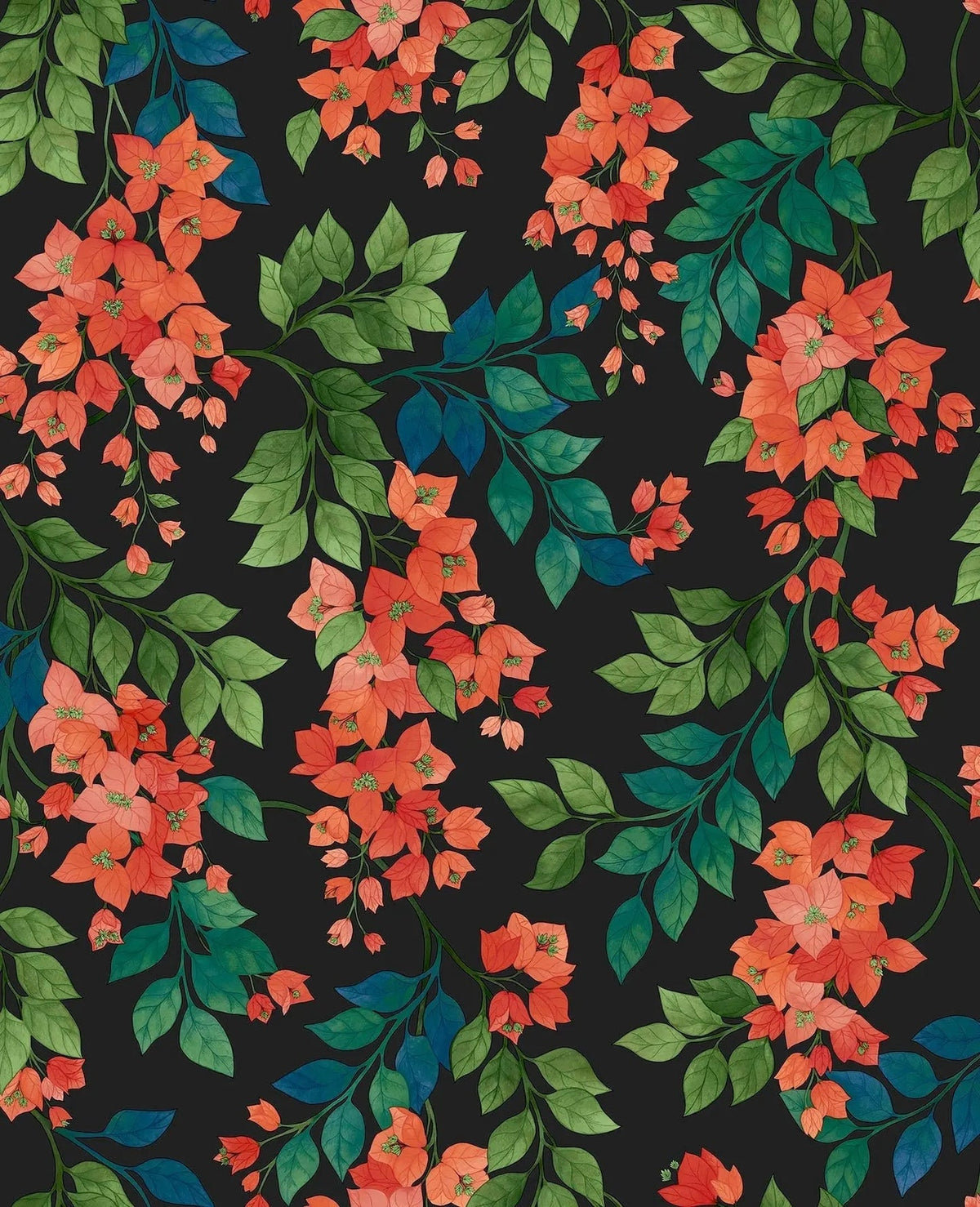 Cole & Son Bougainvillea Tapete – Rouge, Leaf Green & Cerulean Sky on Charcoal (117/6017)