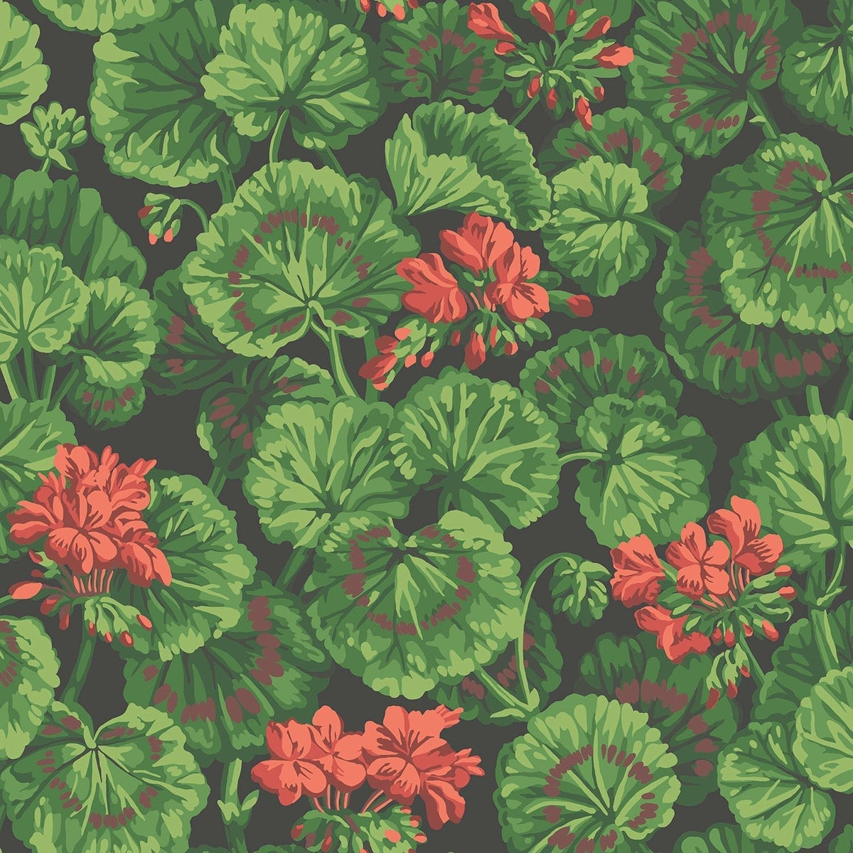 Cole & Son Geranium Rouge & Leaf Greens on Black 117/11033 – Muster