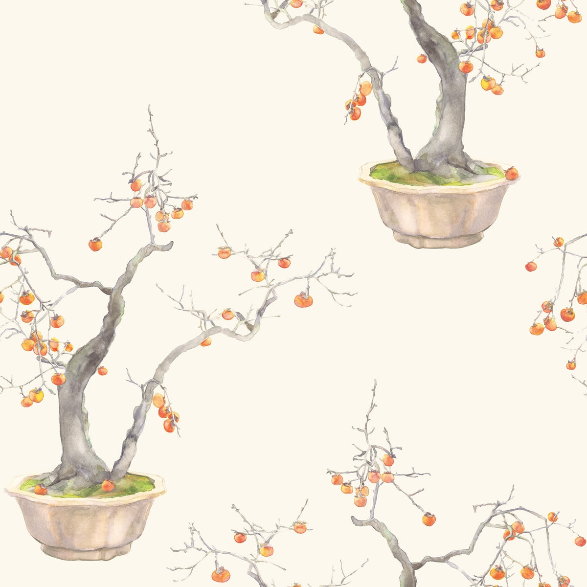 Cole & Son Kaki Persimmon Ivory & Bergamot 126/2003 – Muster
