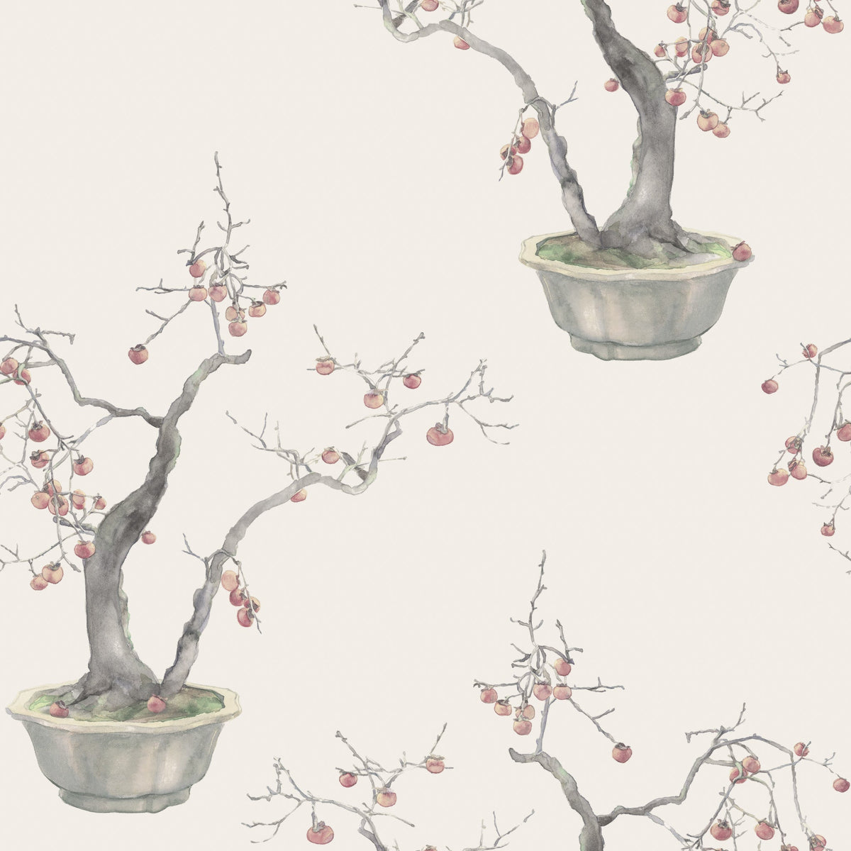 Cole & Son Kaki Persimmon Silver 126/2004 – Muster