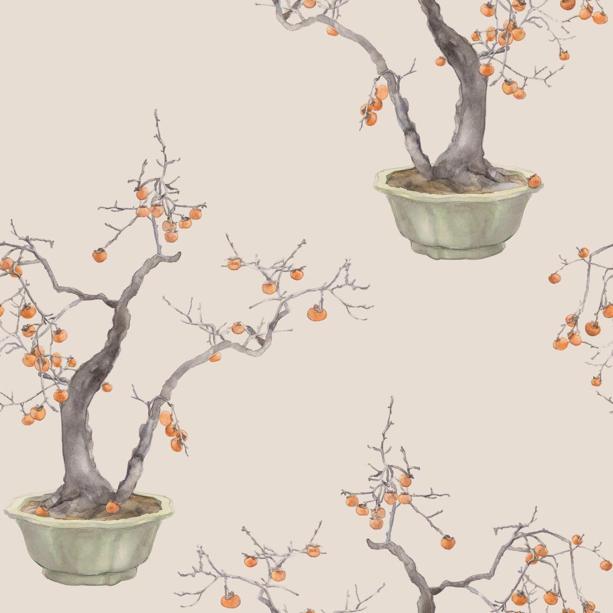 Cole & Son Kaki Persimmon Mink 126/2005 – Muster