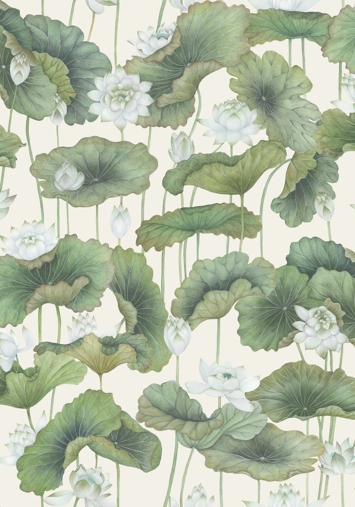 Cole & Son Lily Lotus Leaf Greens on Cream 126/9034 – Muster