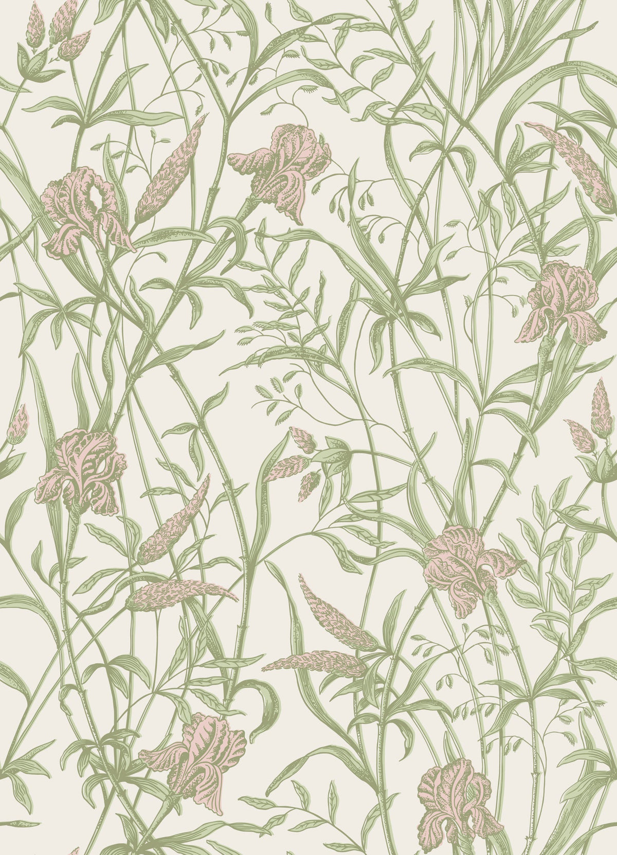 Cole & Son Iris Soft Coral on Chalk 128/5025 – Muster