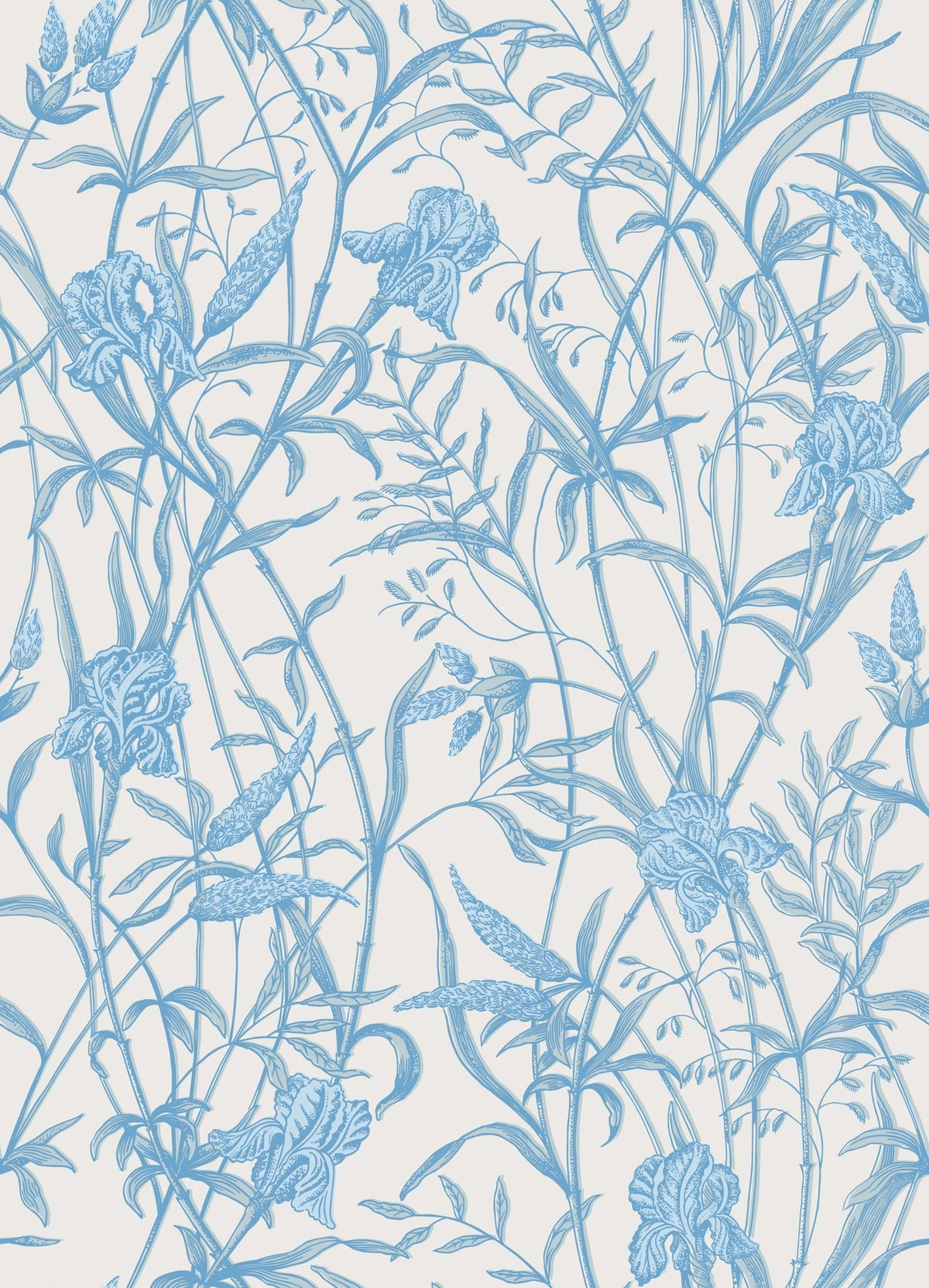 Cole & Son Iris Soft Cerulean on Porcelain 128/5026 – Muster