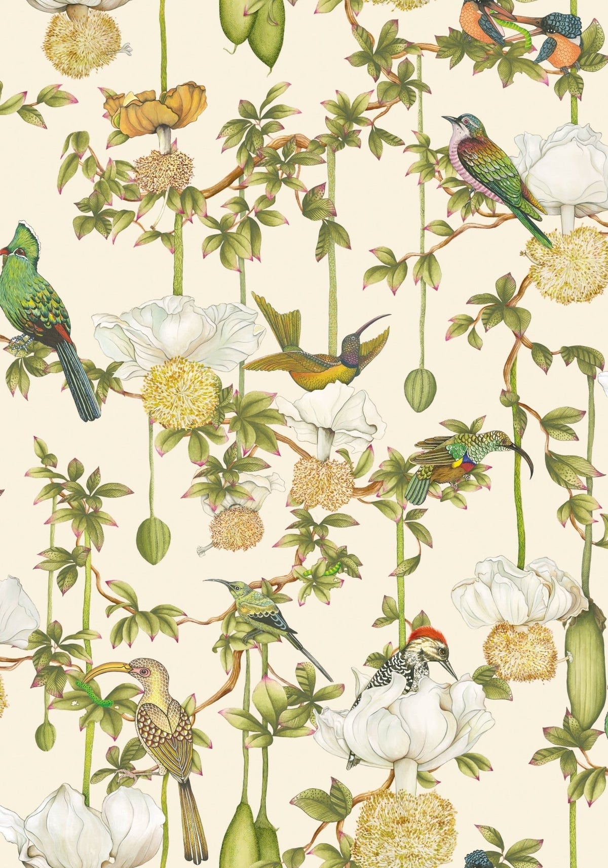 Cole & Son Baobab Botanica Stone 129/2004 – Muster