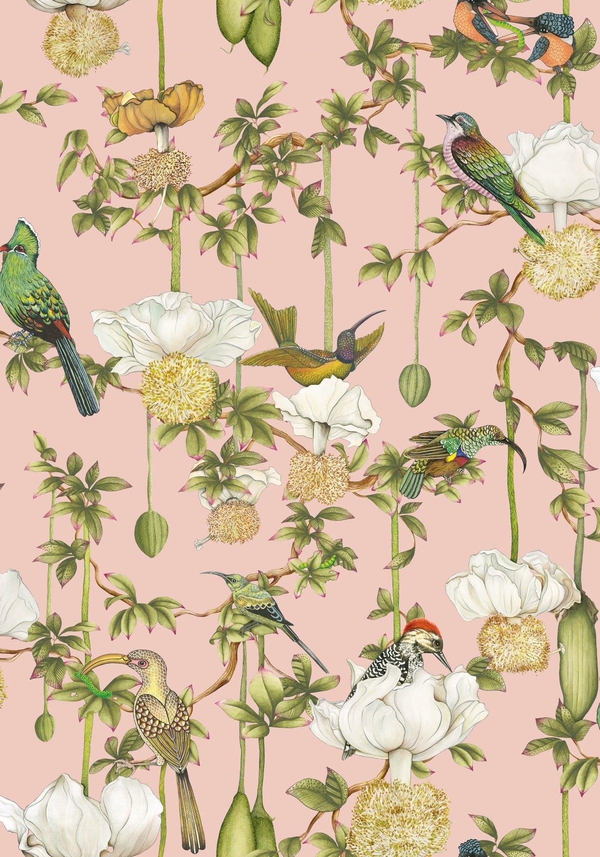 Cole & Son Baobab Botanica Blush 129/2005 – Muster