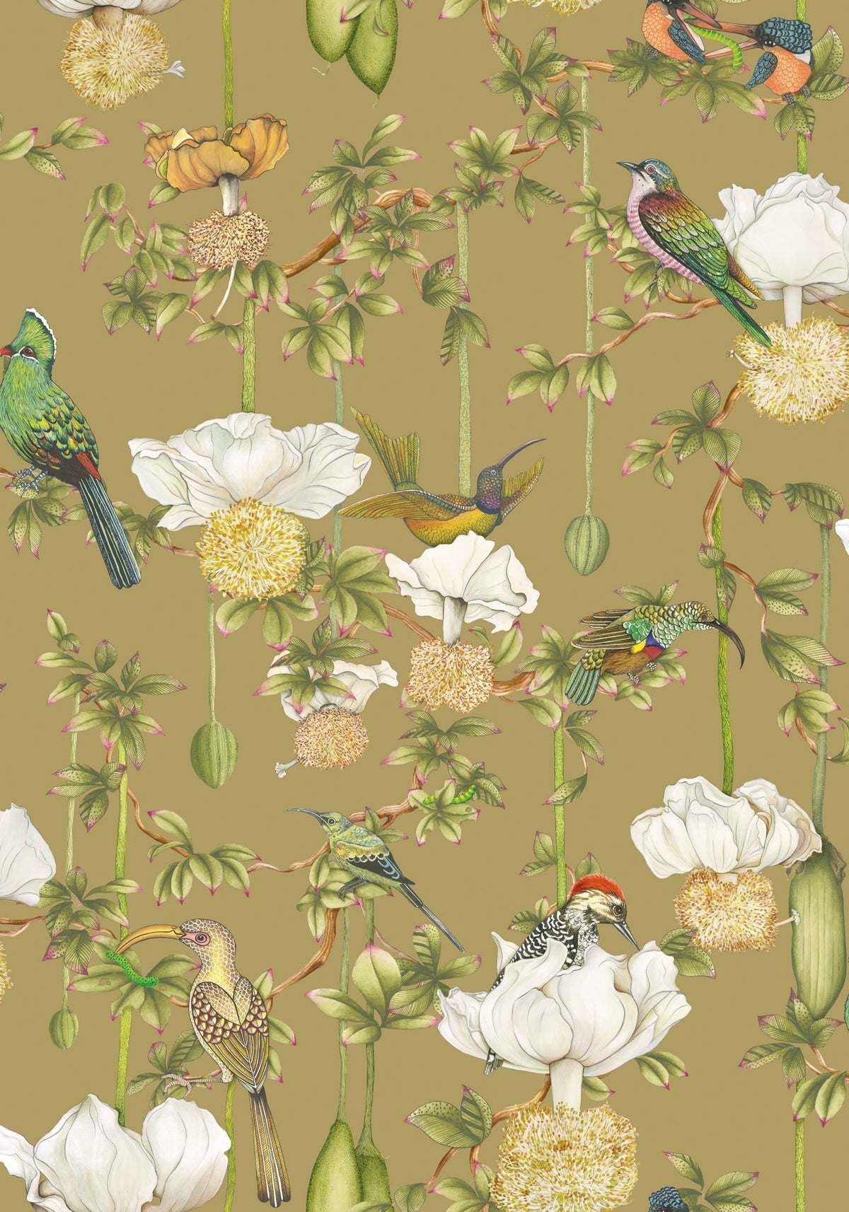 Cole & Son Baobab Botanica Safari 129/2008 – Muster
