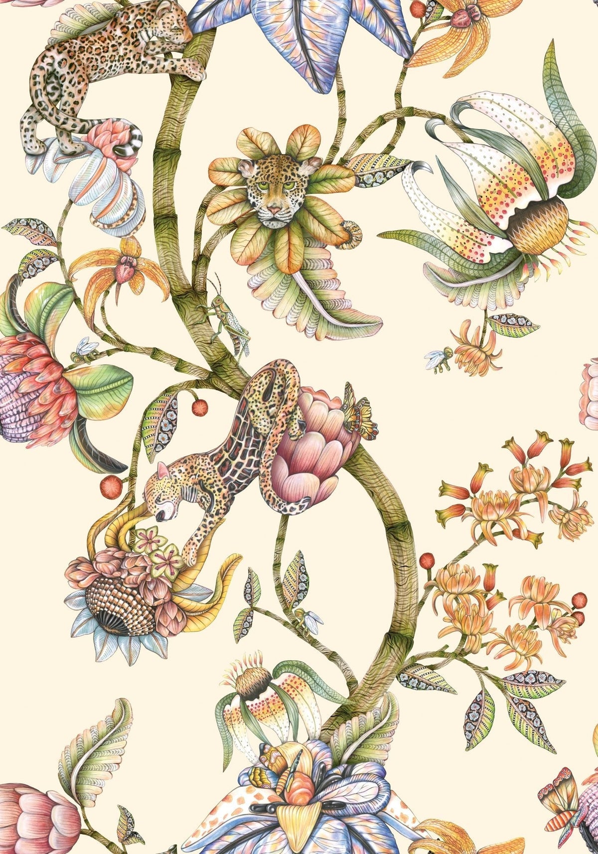 Cole & Son Protea Panthera Stone 129/6021 – Muster