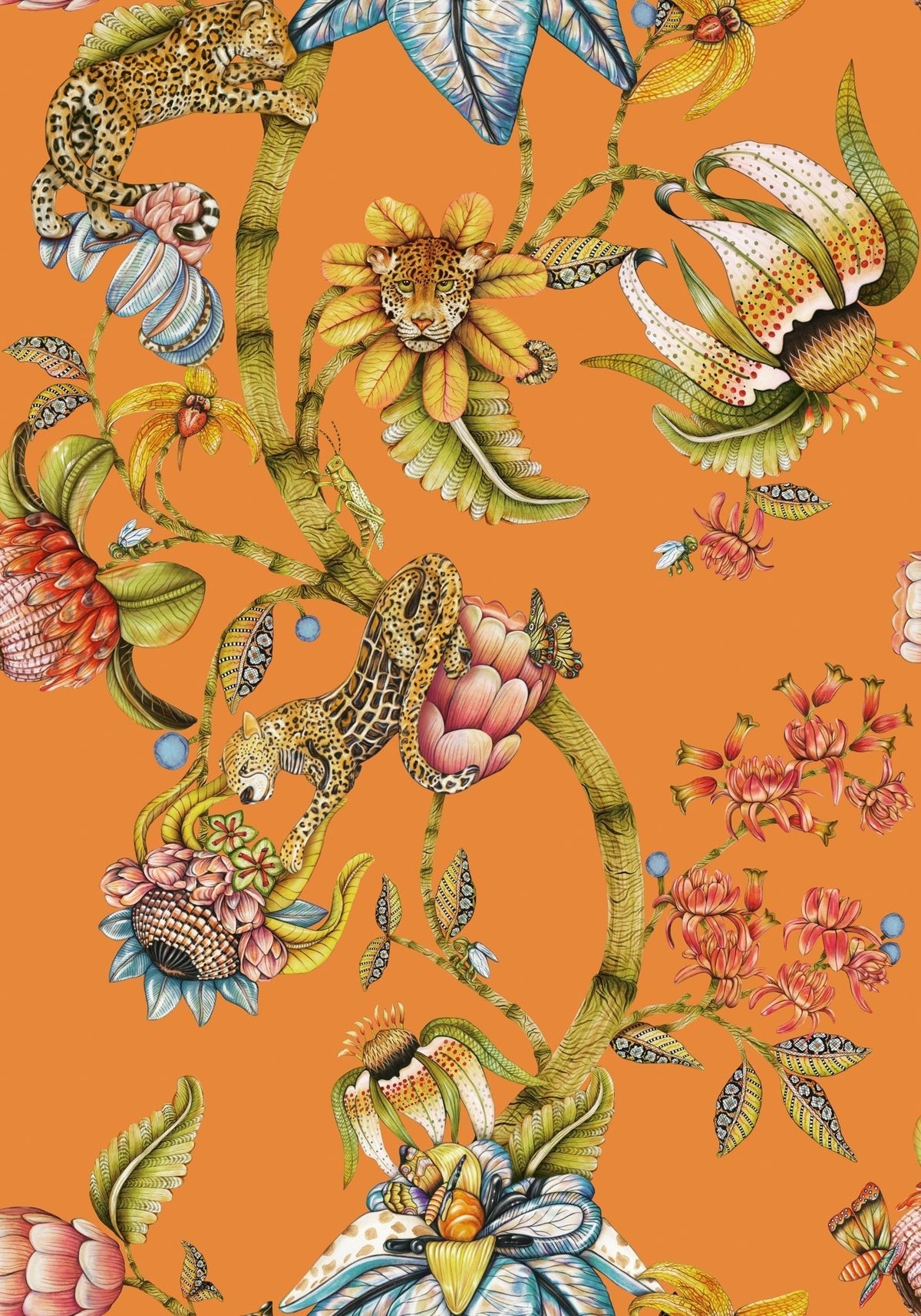 Cole & Son Protea Panthera Clementine 129/6022 – Muster