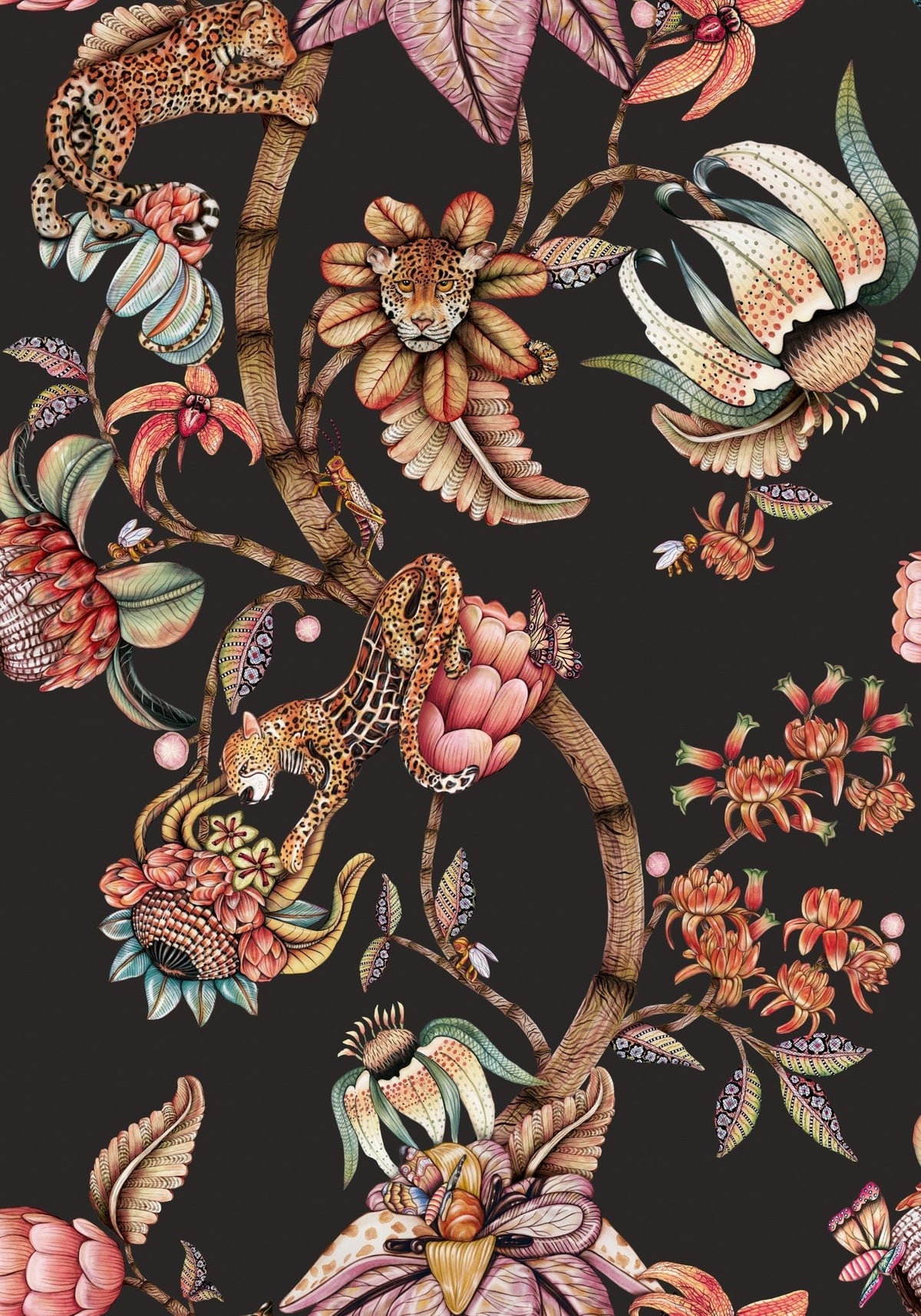 Cole & Son Protea Panthera Onyx 129/6023 – Muster