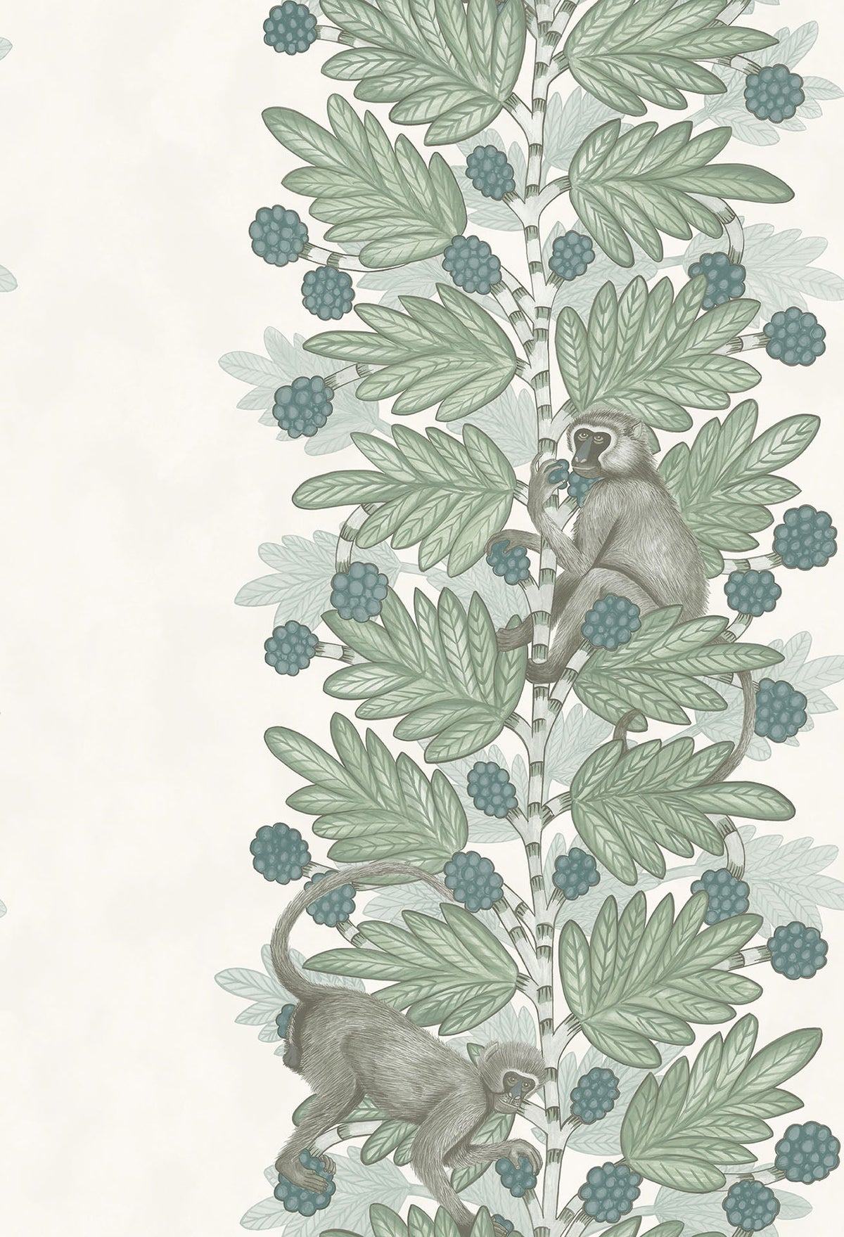 Cole & Son Acacia Tapete – Duck Egg & Print room Blue on White (109/11052), Musteransicht