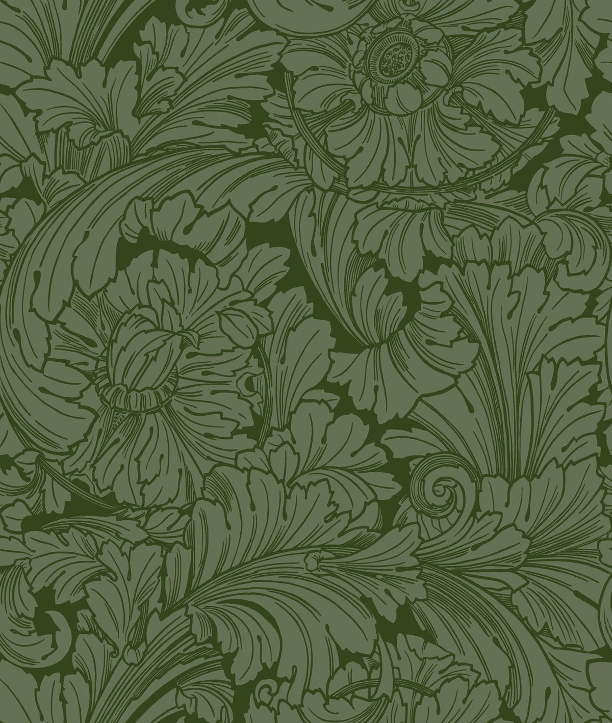 Cole & Son Acanthus, Forest (127/6031)