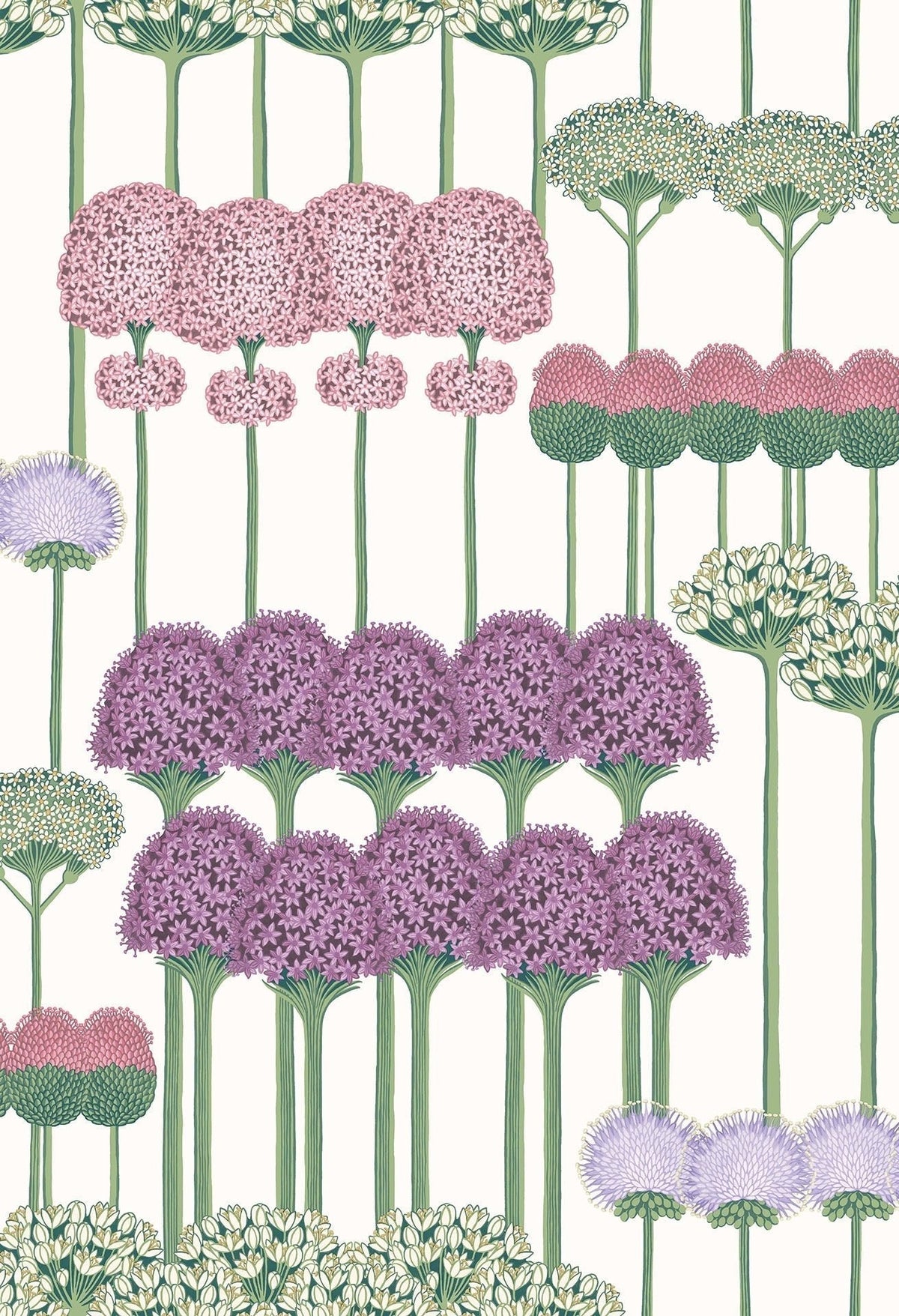 Cole & Son Allium Tapete, Mulberry, Blush & Lilac on Chalk (115/12034)