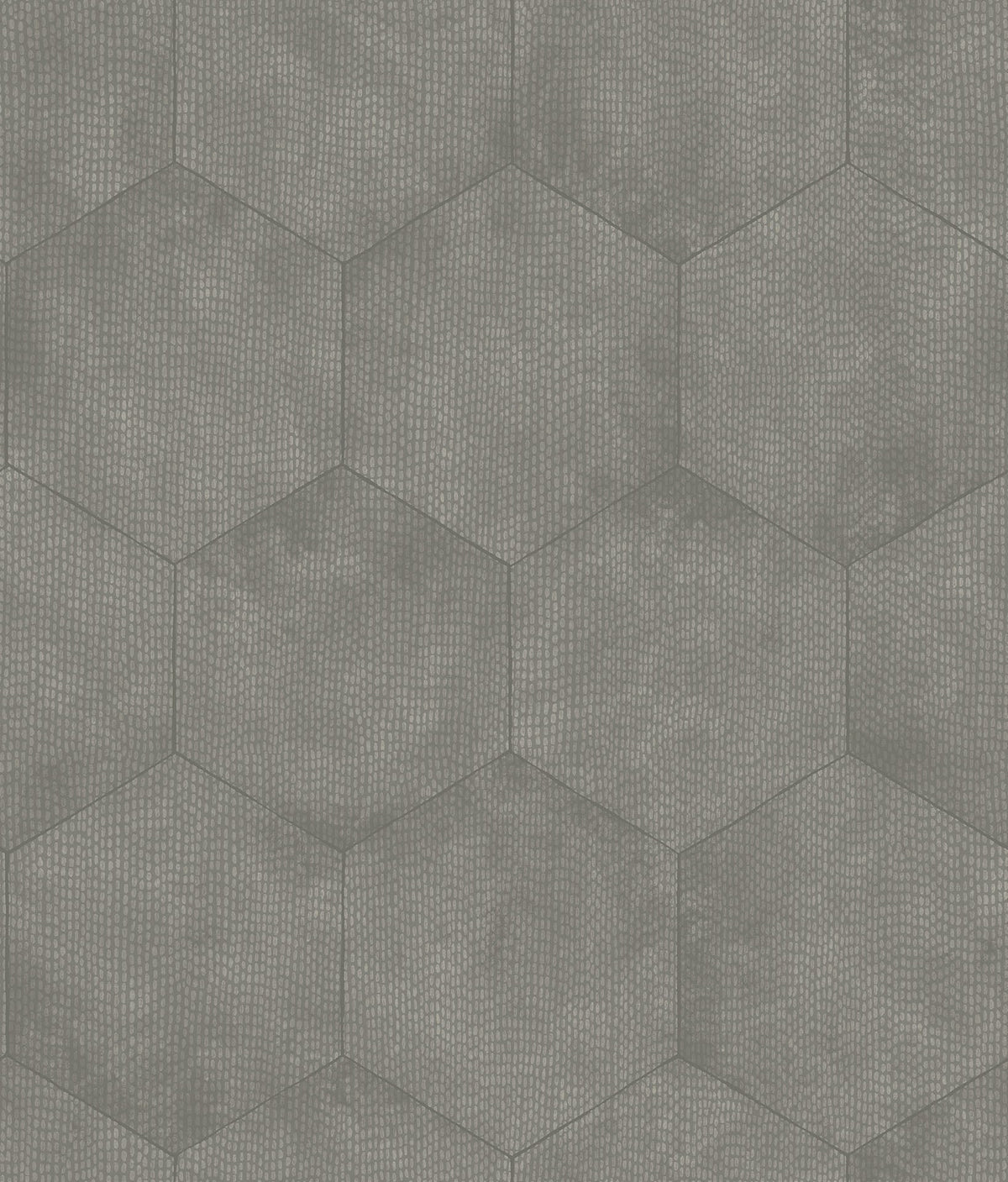 Cole & Son Mineral – Metallic Silver on Elephant Grey (107/6031)