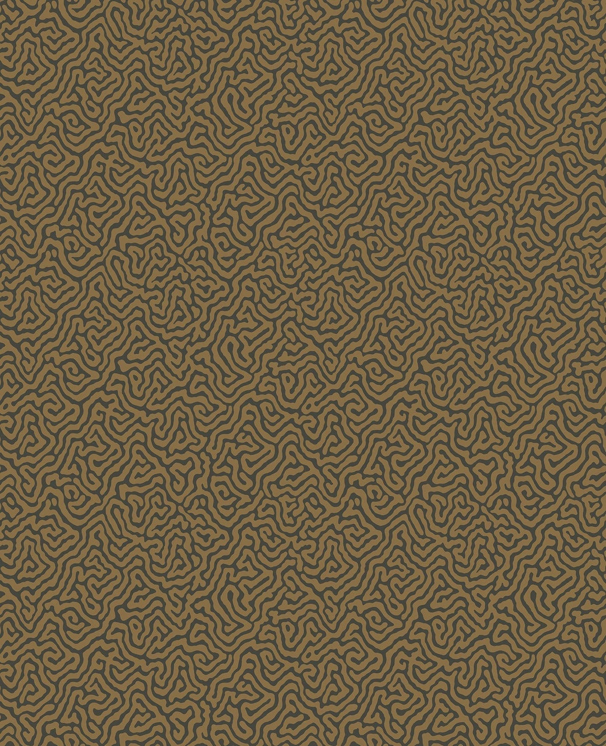 Cole & Son Vermicelli – Metallic Bronze on Charcoal (107/4020)