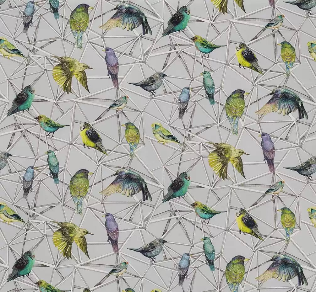 Osborne & Little Aviary – Stoff – F7011-01