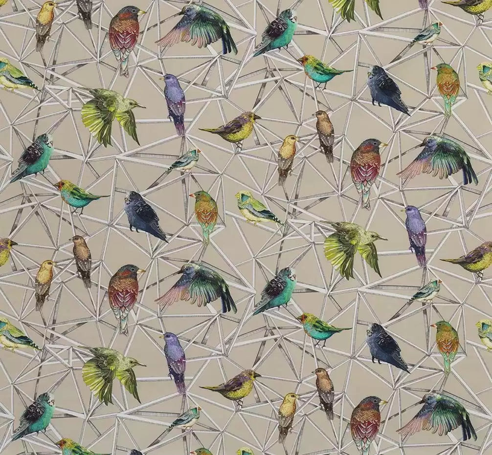 Osborne & Little Aviary – Stoff – F7011-02