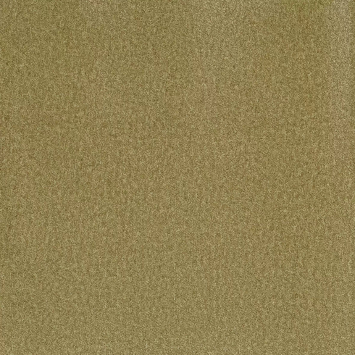 Osborne & Little Ampezzo – Stoff – F7620-02