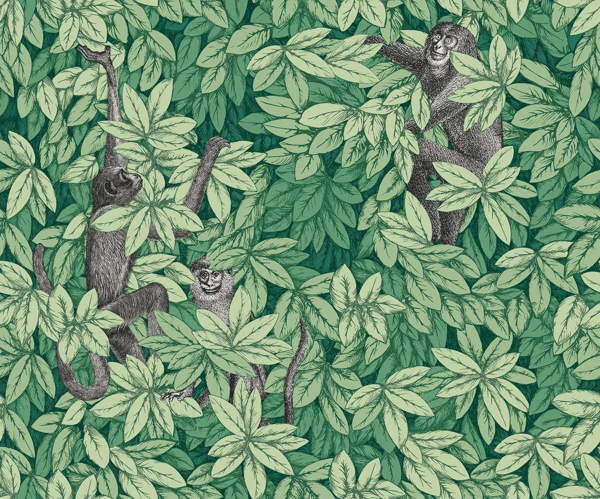 Cole & Son Fornasetti Foglie e Scimmie Forest Green – Tapete