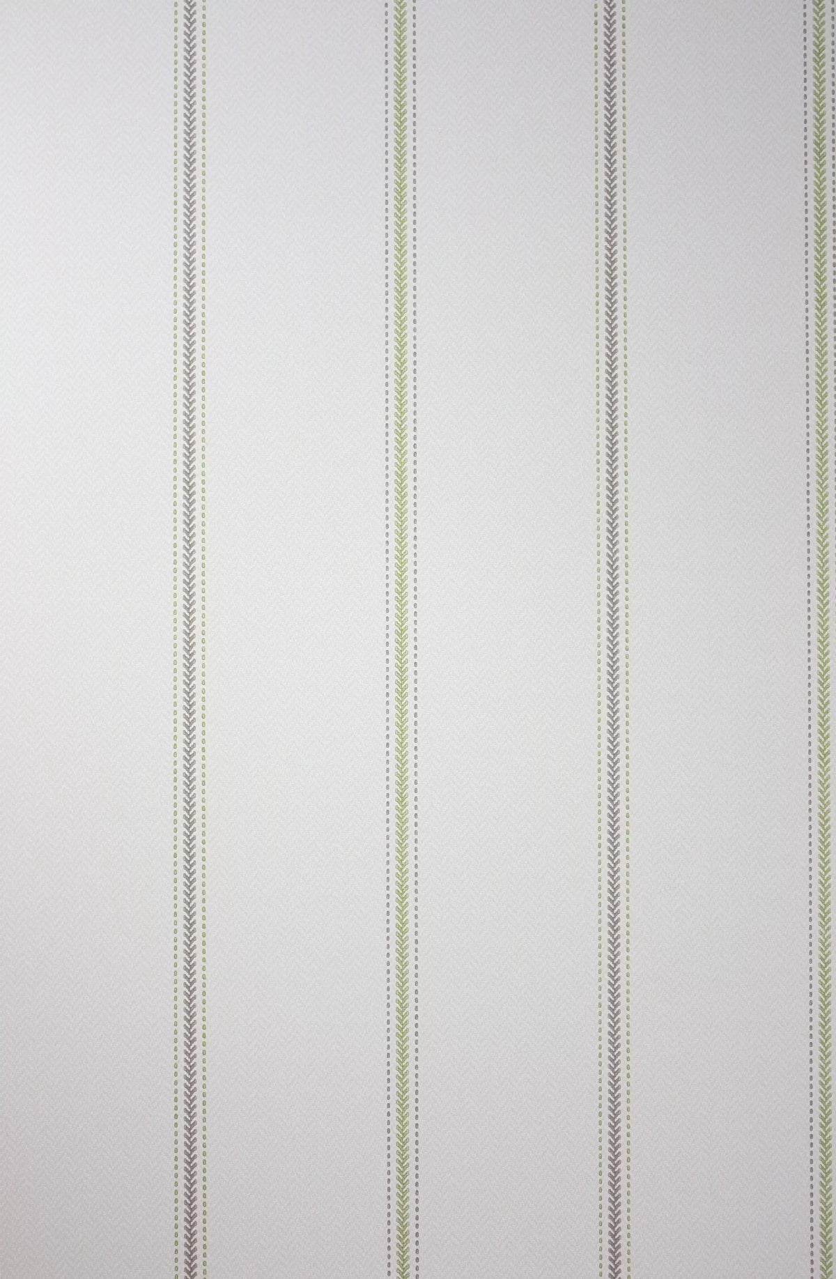 Nina Campbell Strome – Stone / Taupe / Green – NCW4127-02
