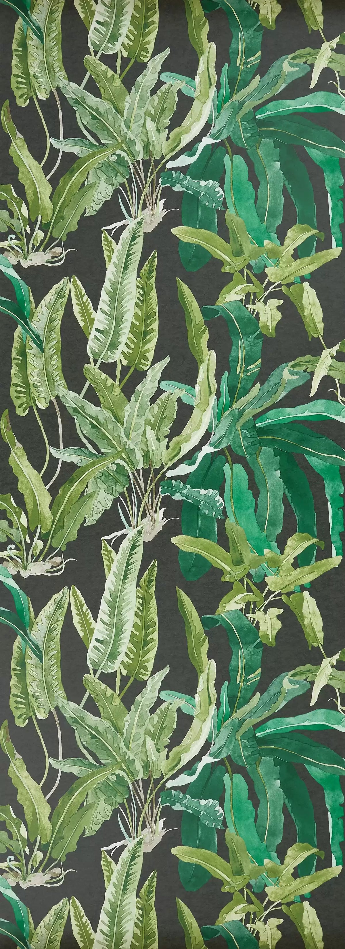 Nina Campbell Benmore – Emerald Green / Ebony – NCW4393-01