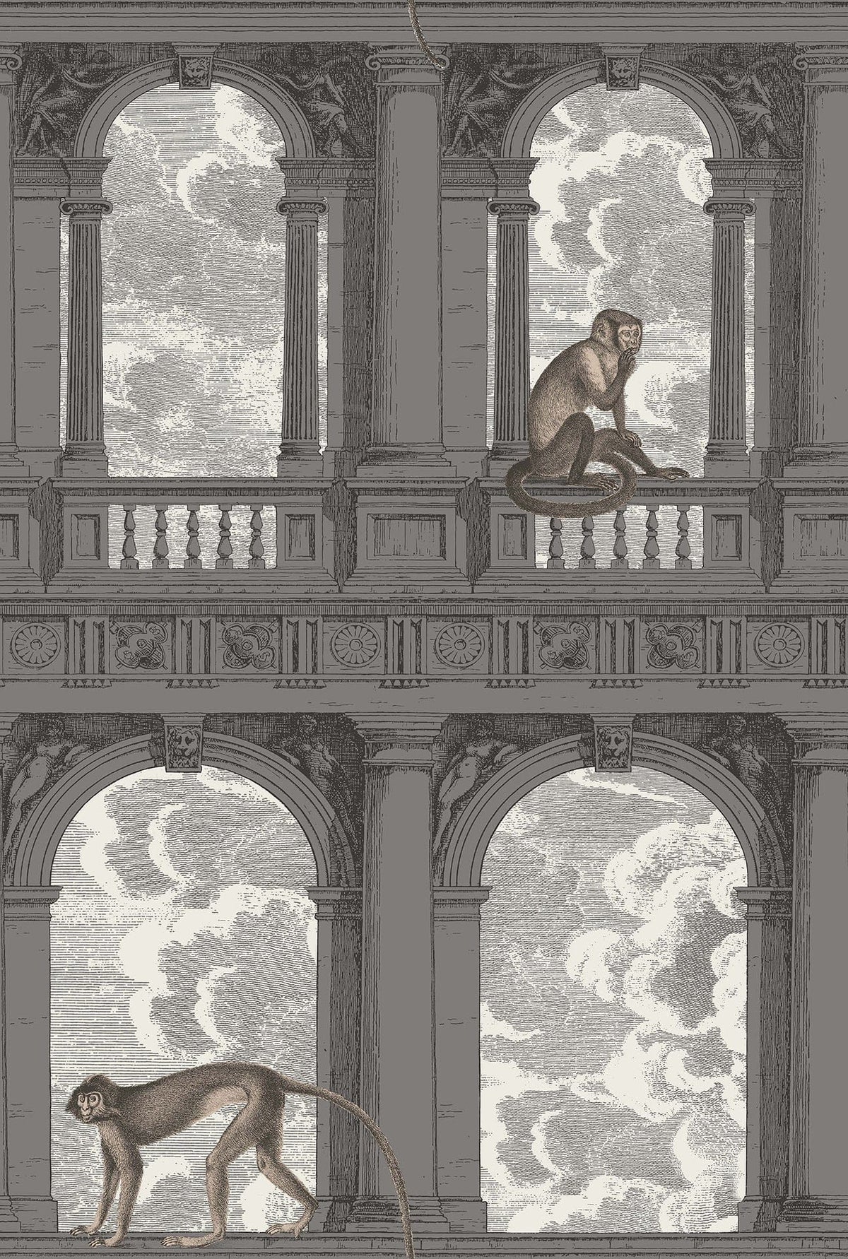 Cole & Son Fornasetti Procuratie con vista Tapete, Soot & Snow, 114/8016