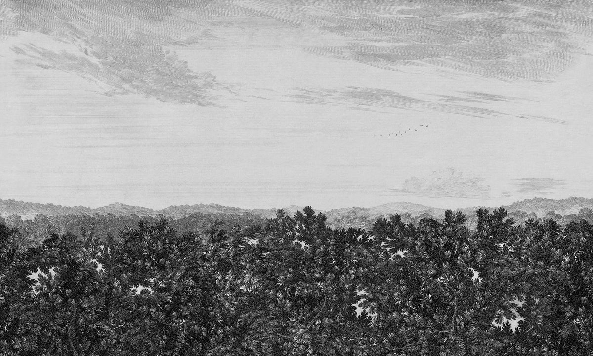 Sandberg Oak View Graphite 658-31 – Tapetenmuster
